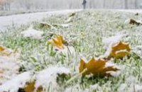 В Украине прошел первый снег