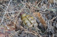 На Днепропетровщине грибник во время «тихой охоты» нашел гранату