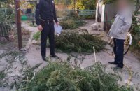 На Днепропетровщине полицейские засекли наркодиллера за сбором урожая конопли