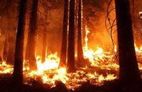 С начала года в природных экосистемах Днепропетровщины возникло почти 3 тыс. пожаров
