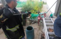 На Днепропетровщине в частный дом заползла метровая змея (ВИДЕО)