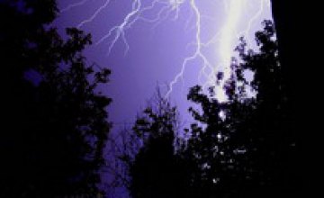 В Винницкой области 10-летнего ребенка ударила молния