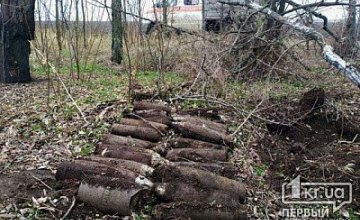 На Днепропетровщине мужчина наткнулся на 26 боеприпасов 