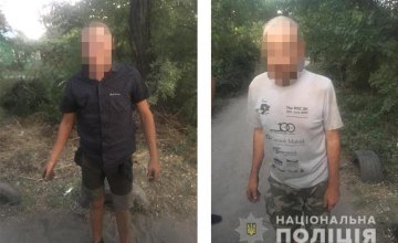 Приставили нож к горлу и обворовали: в Днепре произошло разбойное нападение на садовый участок