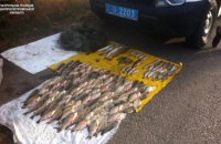 ​В Подгороднем браконьеры наловили сетками рыбы на  6 тыс. грн (ФОТО)