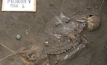 При раскопках Богородицкой крепости днепропетровские археологи нашли скелет человека, умершего от легочной чумы