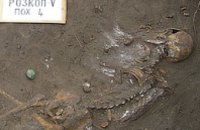 При раскопках Богородицкой крепости днепропетровские археологи нашли скелет человека, умершего от легочной чумы