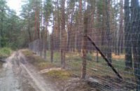 Суд вернул государству 18 га леса в Киевской области, принадлежавшие семье Арбузова