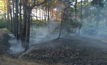 В Днепре спасатели почти два часа тушили  лесной пожар 