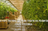 Агропідприємці з Дніпропетровщини отримають гранти на розвиток саду і теплиць на більш ніж 60 млн грн 