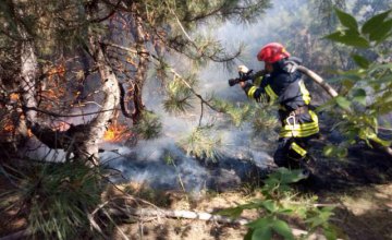 ​На Днепропетровщине спасатели ликвидировали пожар в лесу