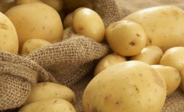 В супермаркетах Днепра стремительно дорожает картошка