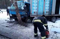В Киеве водитель грузовика врезался в электроопору (ФОТО)