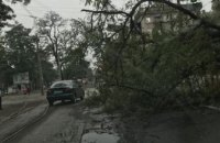 На перекрестке пр. Пушкина и ул. Савчеко сильный ветер повалил дерево (ФОТО)