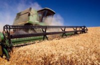 Украина уже начала убирать зерновые