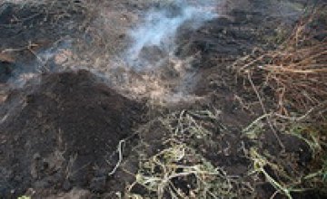 В Житомирской области вторые сутки горят торфяники