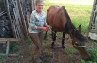 На Днепропетровщине в заброшенный погреб провалилась лошадь (ФОТО) 