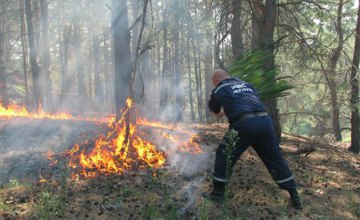 На Днепропетровщине за выходные произошло 17 лесных пожаров
