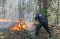 На Днепропетровщине за выходные произошло 17 лесных пожаров