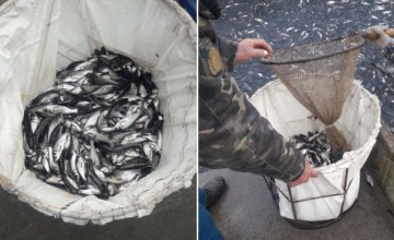 На Днепропетровщине проведены компенсационные зарыбления: в воду выпущено около 9 тыс. кг рыбы