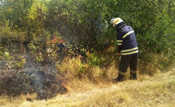 В Пятихатском районе пожарные ликвидировали возгорание сухой травы