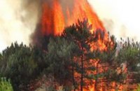 В Днепропетровской области прошли учения по тушению лесных пожаров
