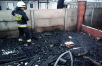 Пожар на Днепропетровщине: одновременно горели постройки трех соседей (ФОТО)