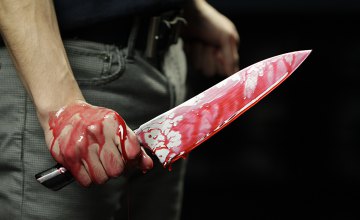 В Днепре пьяный мужчина изрезал ножом свою собаку, потому что надоела