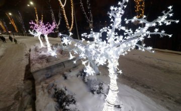 В днепровском парке Зеленый Гай открыли новогоднюю елку и зимнюю аллею цветов