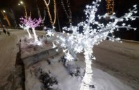 В днепровском парке Зеленый Гай открыли новогоднюю елку и зимнюю аллею цветов