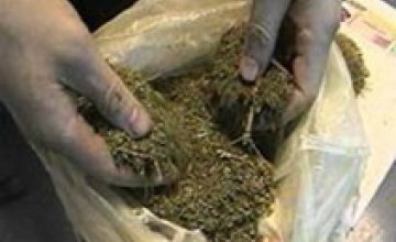 В гараже у злоумышленника милиция обнаружила 20 кг марихуаны