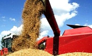 В Запорожской области чиновники присвоили себе зерна на 5 млн. грн.