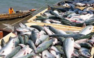 На Днепропетровщине ловля рыбы с апреля по июнь разрешена только в строго отведенных местах