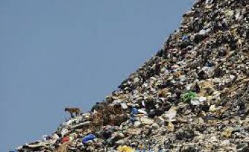 Швеция намерена ежегодно покупать 800 тыс тонн мусора у соседних стран