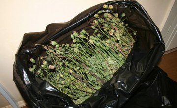 В Днепропетровской области полиция задержала мужчину с 4,5 кг маковой соломки