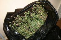 В Днепропетровской области полиция задержала мужчину с 4,5 кг маковой соломки