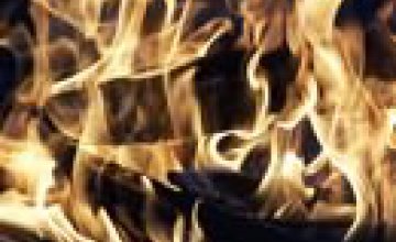 В Днепропетровске сгорел автобус: в салоне находилось 20 пассажиров
