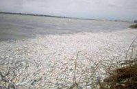 Массовый мор рыбы в Днепропетровской области: эксперты назвали причину