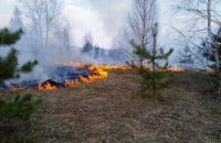 В Черниговской области ликвидировали лесной пожар