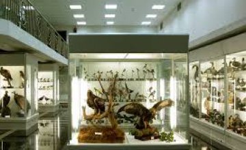 В днепропетровском зоомузее хранятся единственные в Украине скелеты бегемота и жирафа