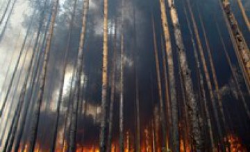 В Днепропетровской области горел лес на территории 18,72 га
