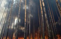 В Днепропетровской области горел лес на территории 18,72 га