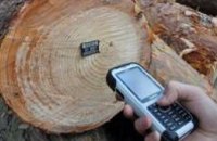Во Львовской области вырубку лесов будут контролировать в режиме online