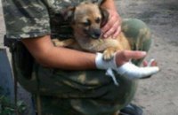 На пункте пропуска «Должанский» собака трижды спасла жизнь офицеру-пограничнику