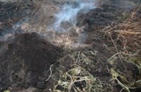 В Полтавской области горят торфяники