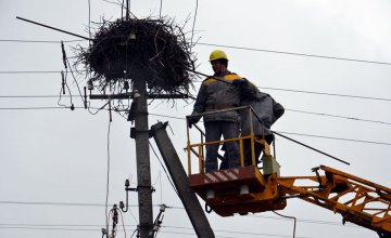 Безопасные гнезда: Как специалисты ДТЭК Днепровские электросети подготовились к возвращению аистов
