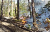 На Днепропетровщине уже 5 часов пытаются потушить лесной пожар