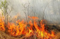С начала года на Днепропетровщине произошло более 1,5 тыс. пожаров в экосистемах