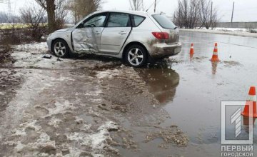 Занесло на мокрой дороге: на Днепропетровщине легковушка врезалась в дерево, есть пострадавшие