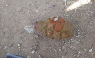 Уборщица мариупольского туалета бросила гранату под машину ГСЧС